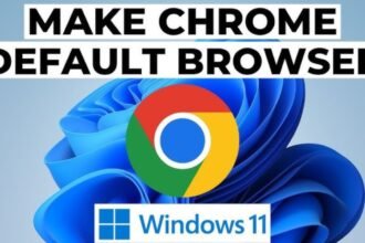 Download Google Chrome for Windows (1)