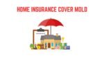 Home Insurance Cover Mold