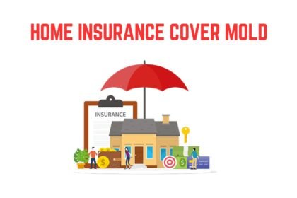 Home Insurance Cover Mold